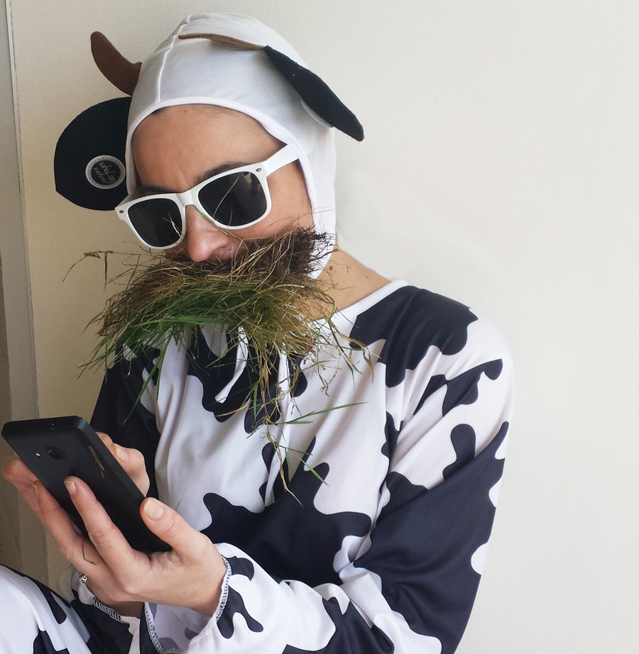 smartphone-cm-laiterie-internet-lheb