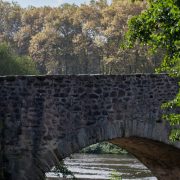 adam-merigot-trial-limoges