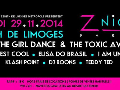 z-night-party-limoges-novembre-electro
