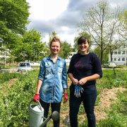 jardin-partage-faculte-limoges-lettres-sciences-1