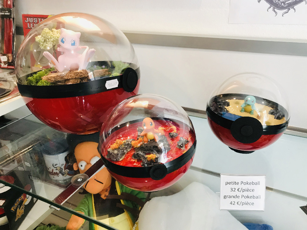 Les pokeball terrarium sont fabriquées par l'artiste Gaëlle Bideau à Ambazac. Des produits artisanaux uniques !