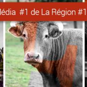 cover-top-fopu-twitter-facebook-lheb-limoges-2020-internet