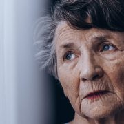 belle-mere-top-fopulaire-lheb-limoumou-limoges-foret-2020-source-help-guide-org