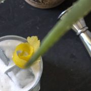 cover-photo-lheb-limoges-gin-top-limoges-2020
